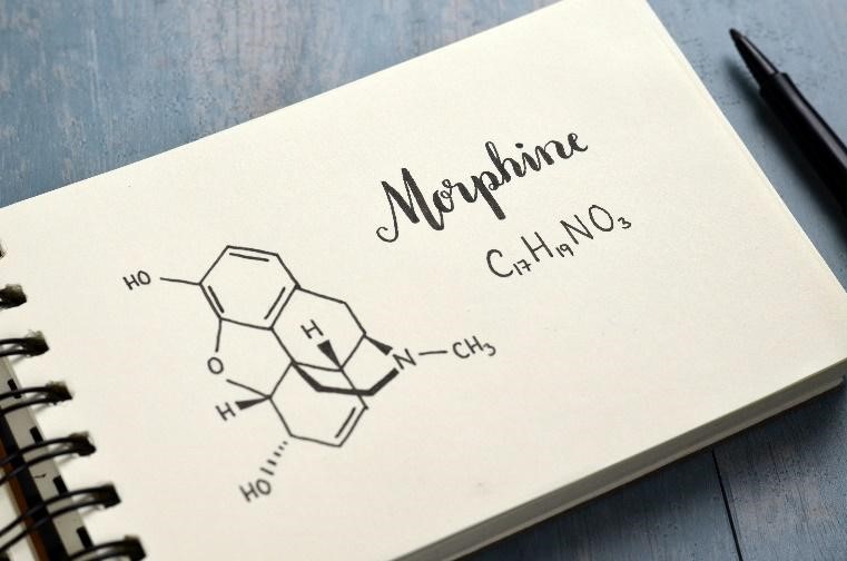 Morphine Abuse Prevention Research